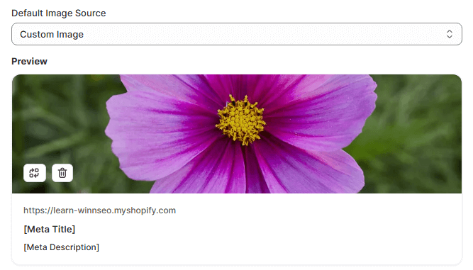 Homepage custom image