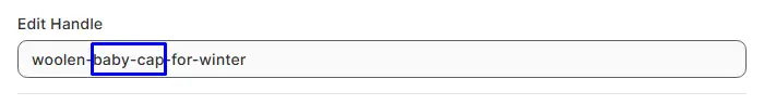 Focus keyword in the handle